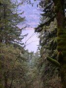 Waukeena Mult Falls 11.26.05 045 